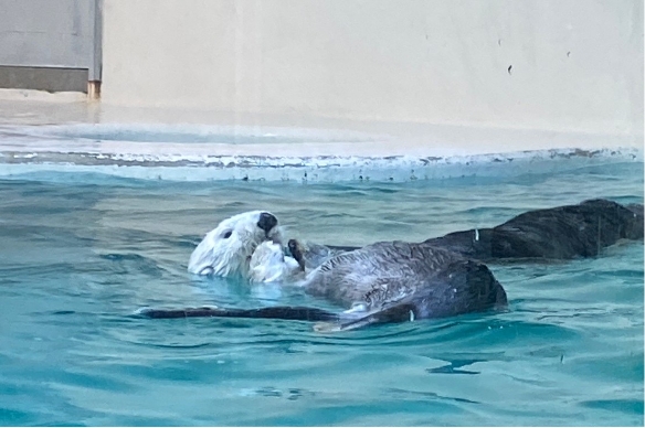 鳥羽水族館