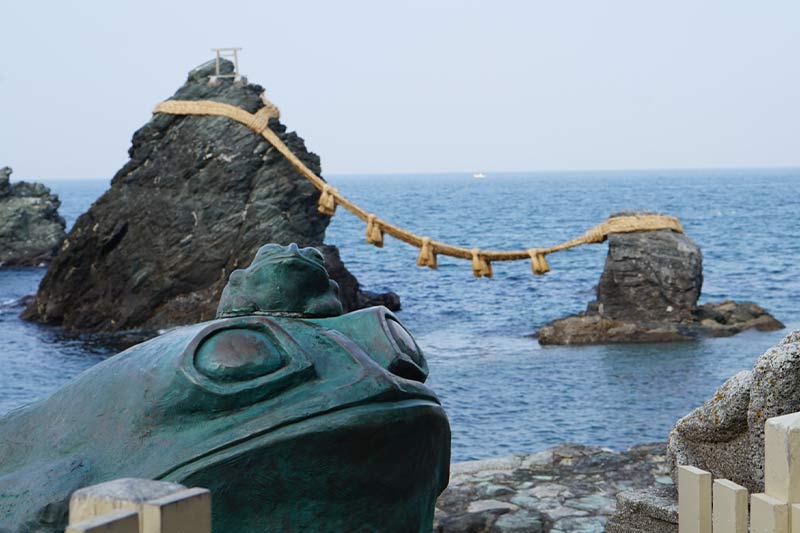 ぽぽ9.6 三重松阪市 伊勢志摩での手渡し希望です ぽぽ様