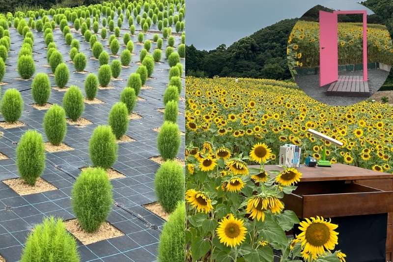 志摩市観光農園 - 【公式】三重県鳥羽市相差 味の宿みち潮